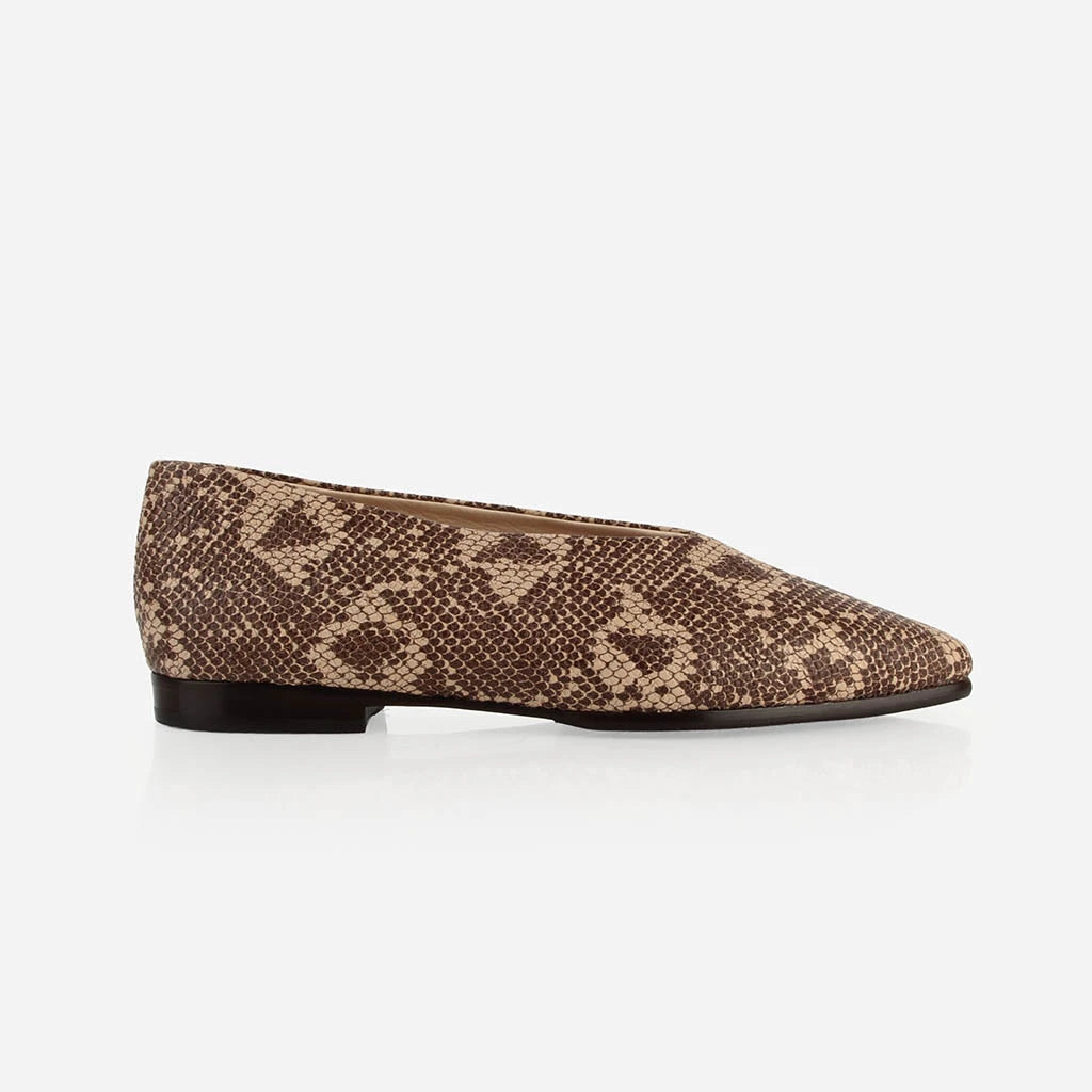 The Atelier Flat Desert Snake