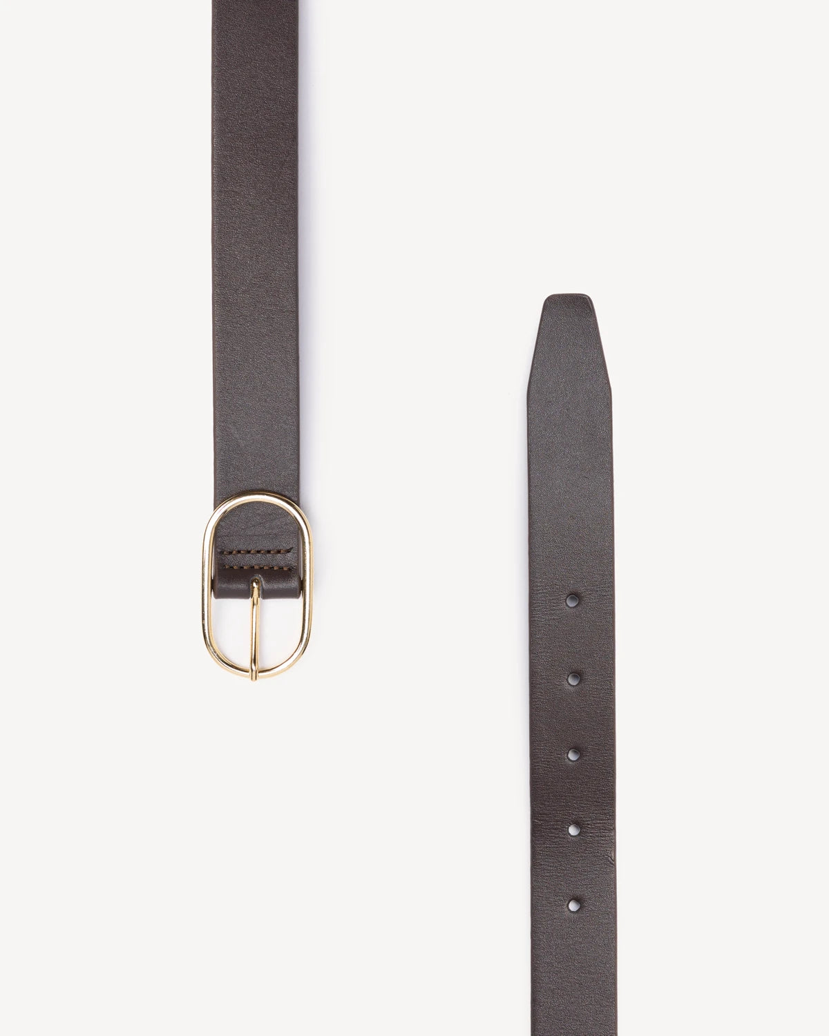 The Sleek Belt Cocoa Plum and Gold
