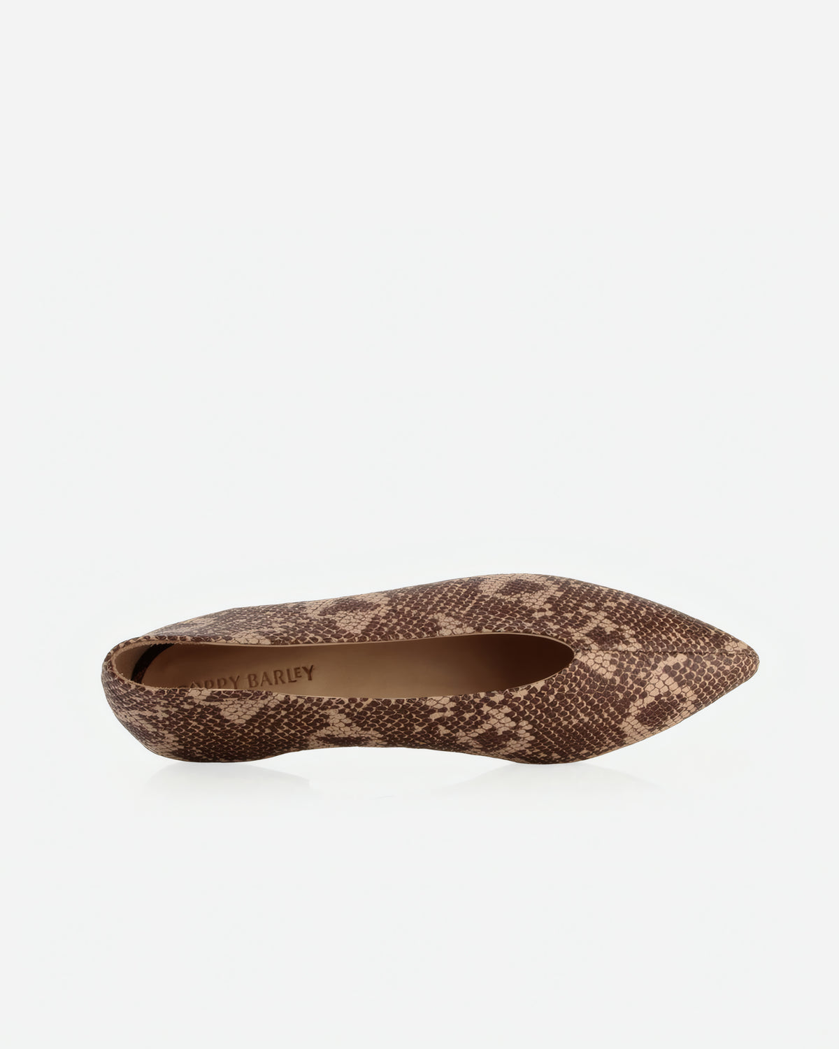 The Atelier Flat Desert Snake