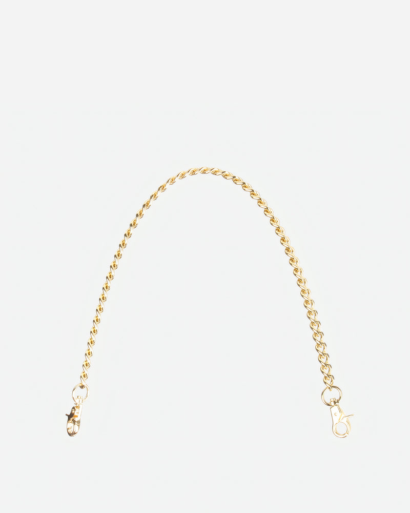 Flat lay of The Chain Strap in Metallic