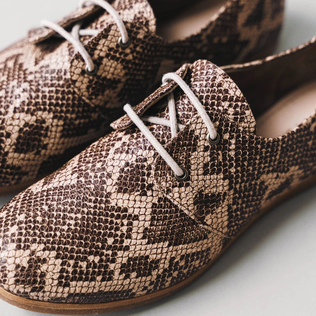 The Eyelet Oxford 2.0 Desert Snake