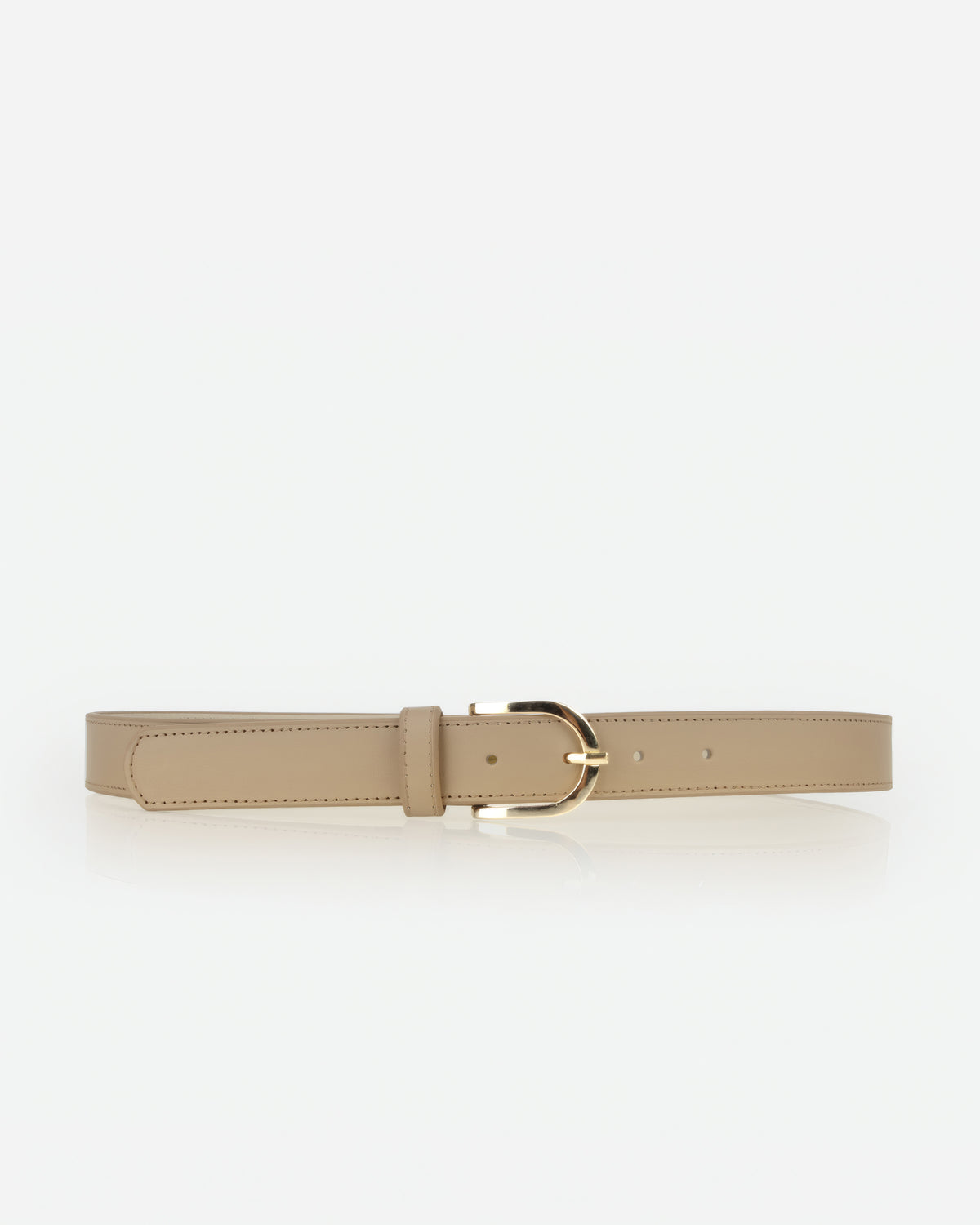 The Accent Belt Gold Biscotti