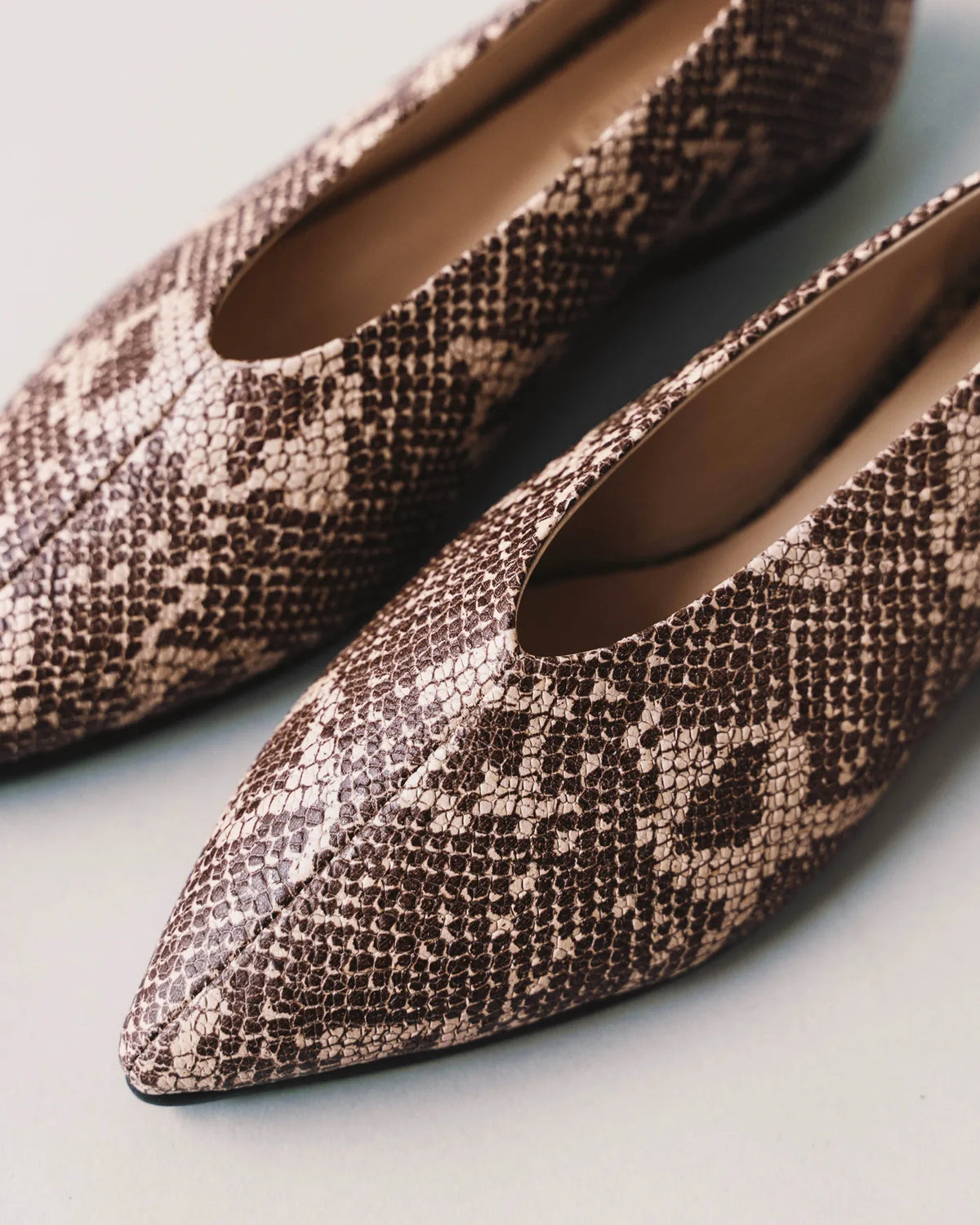 The Atelier Flat Desert Snake