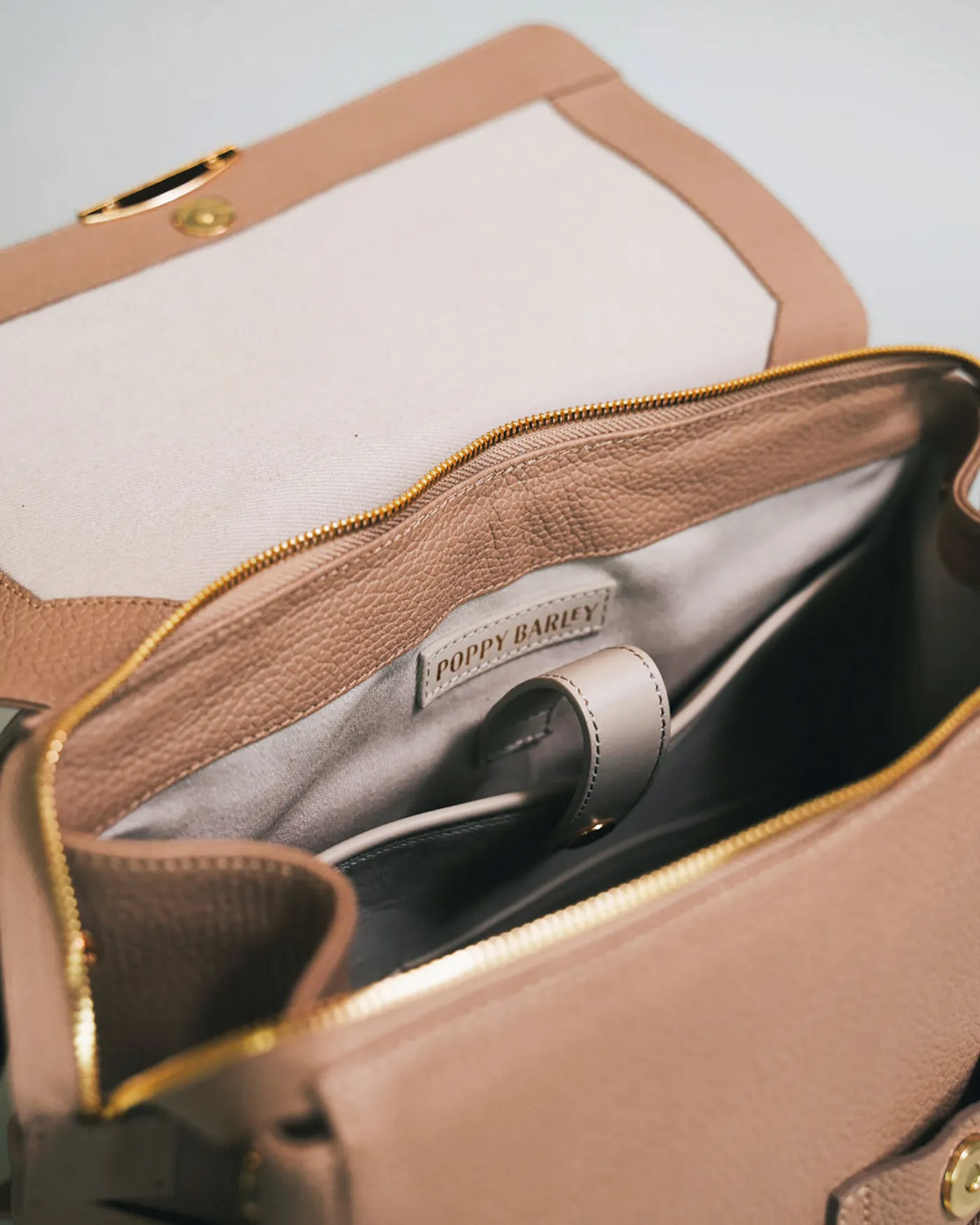 The Beyond Backpack Biscotti