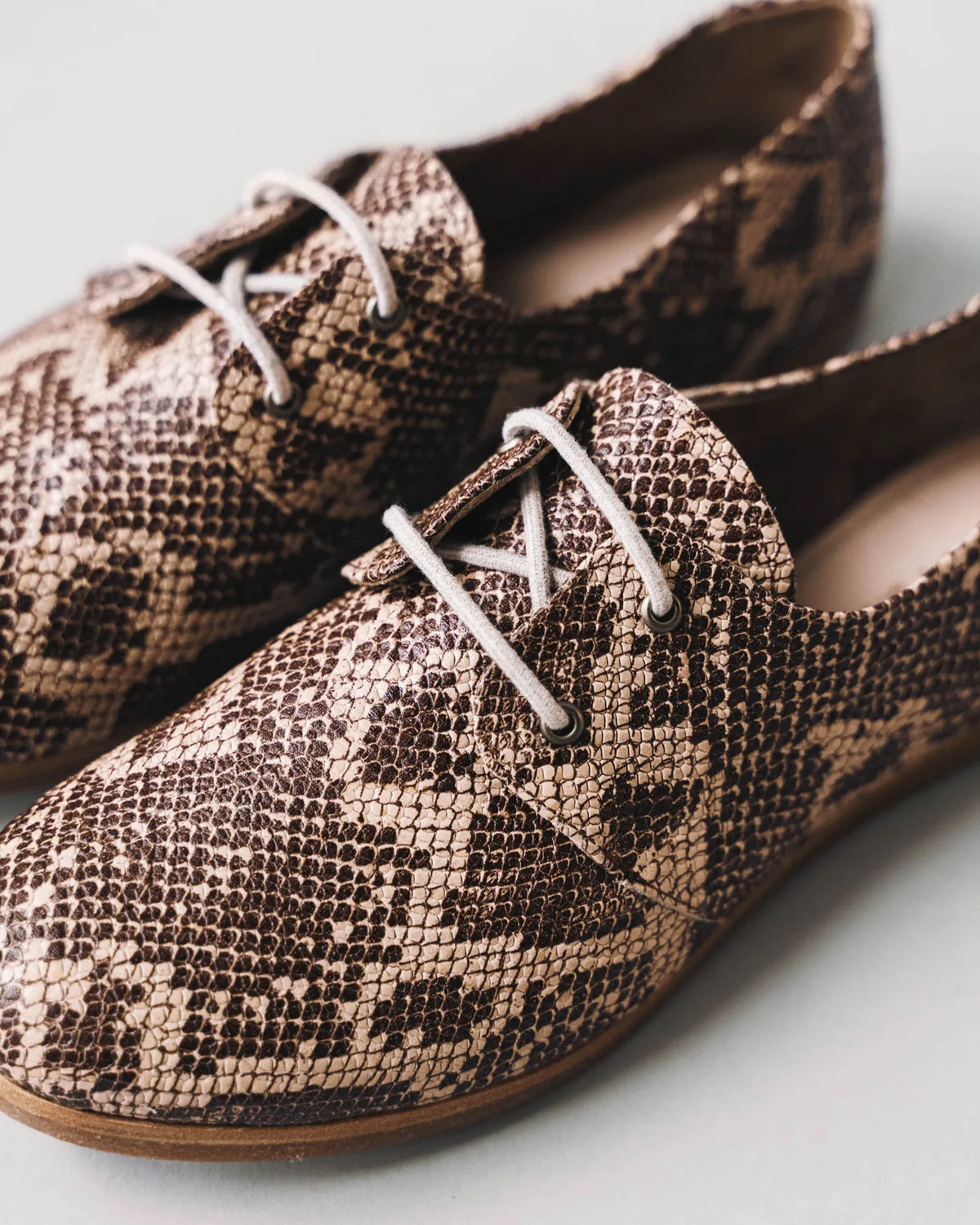 The Eyelet Oxford 2.0 Desert Snake