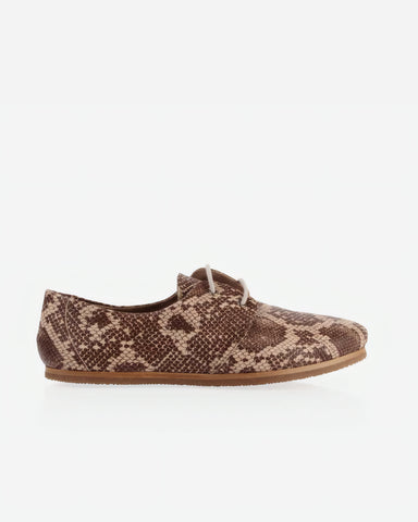 The Eyelet Oxford 2.0 Desert Snake